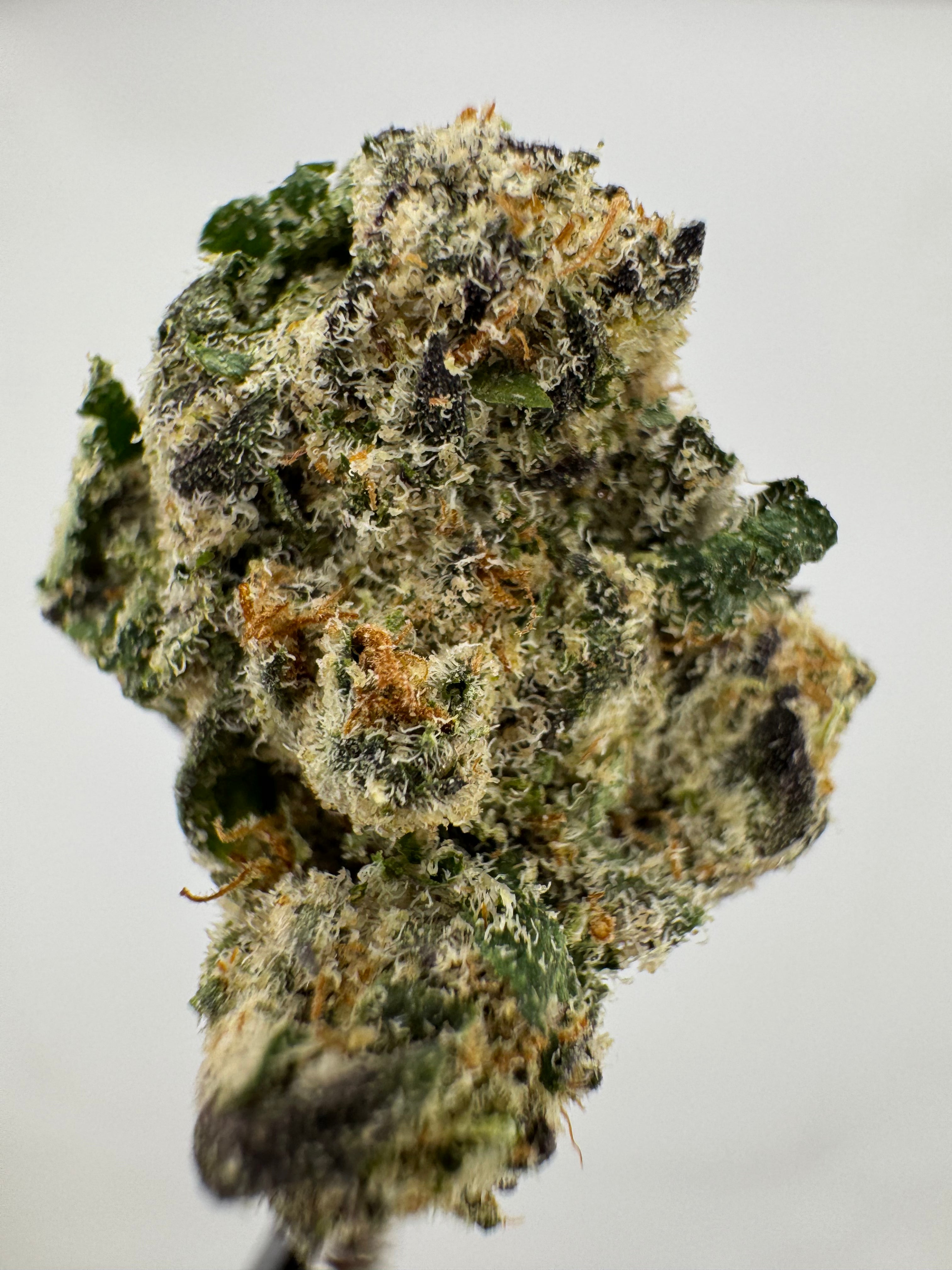 Blue meteorite (I)