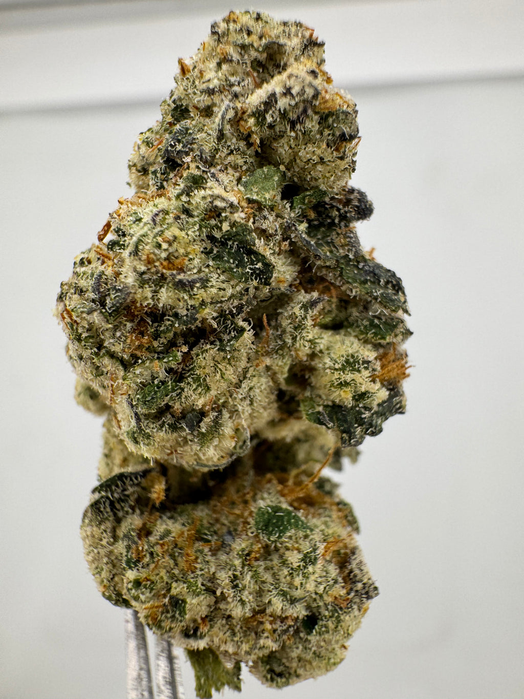 Purple Punch 👊 (H)