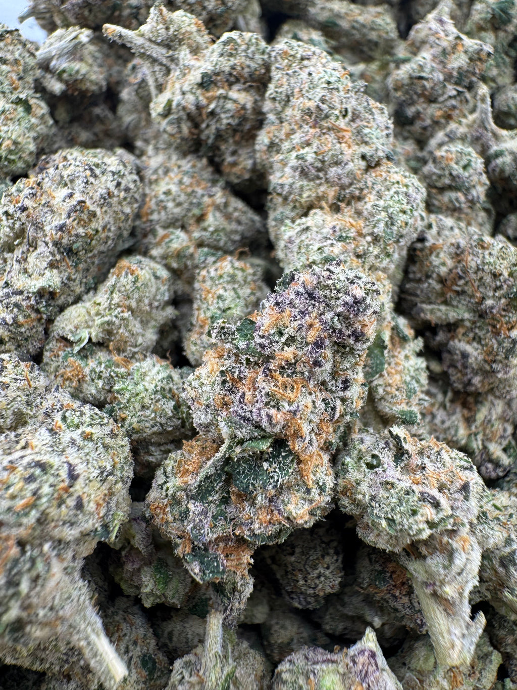 Purple Punch 👊 (H)