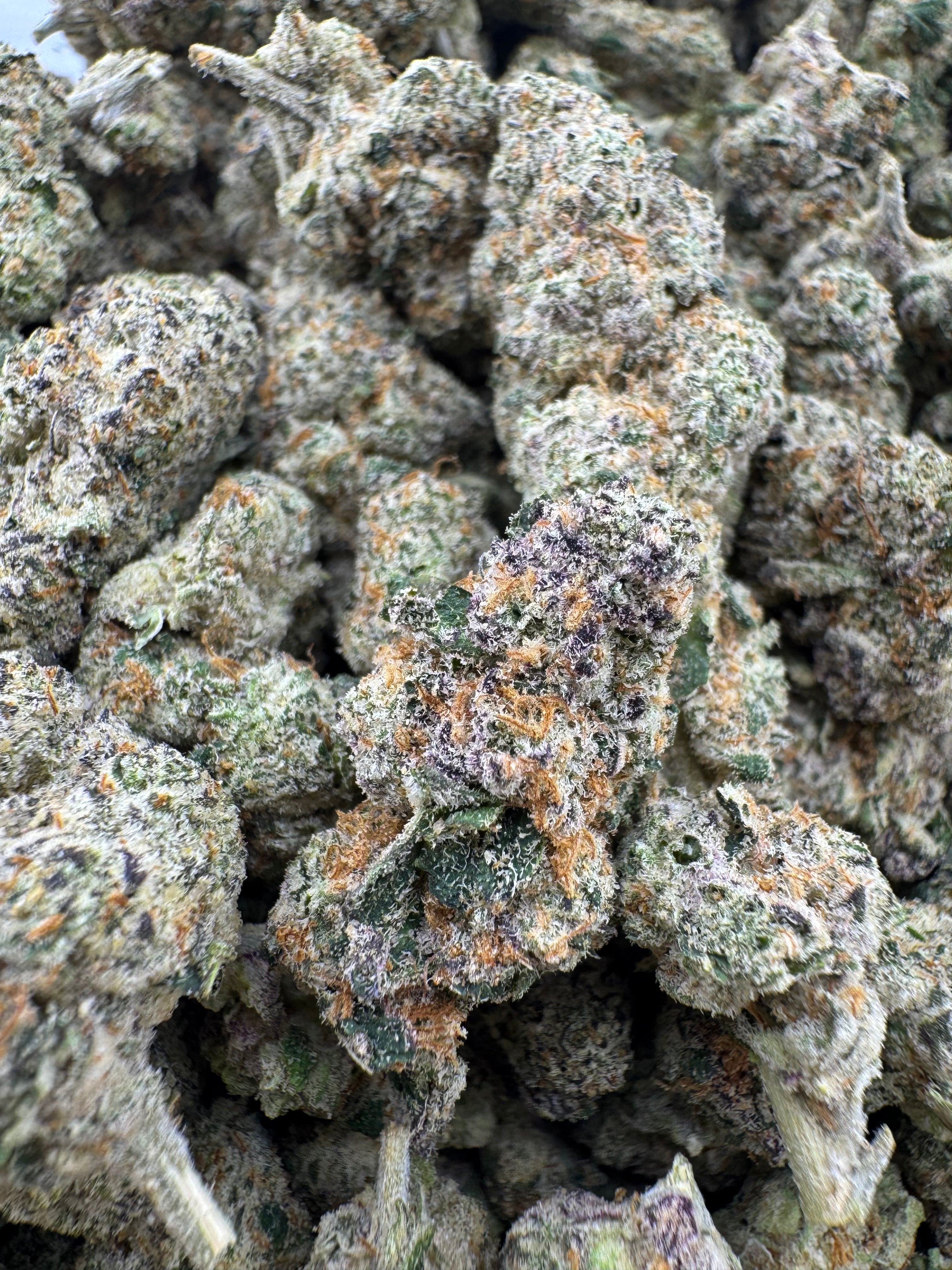 Purple Punch 👊 (H)