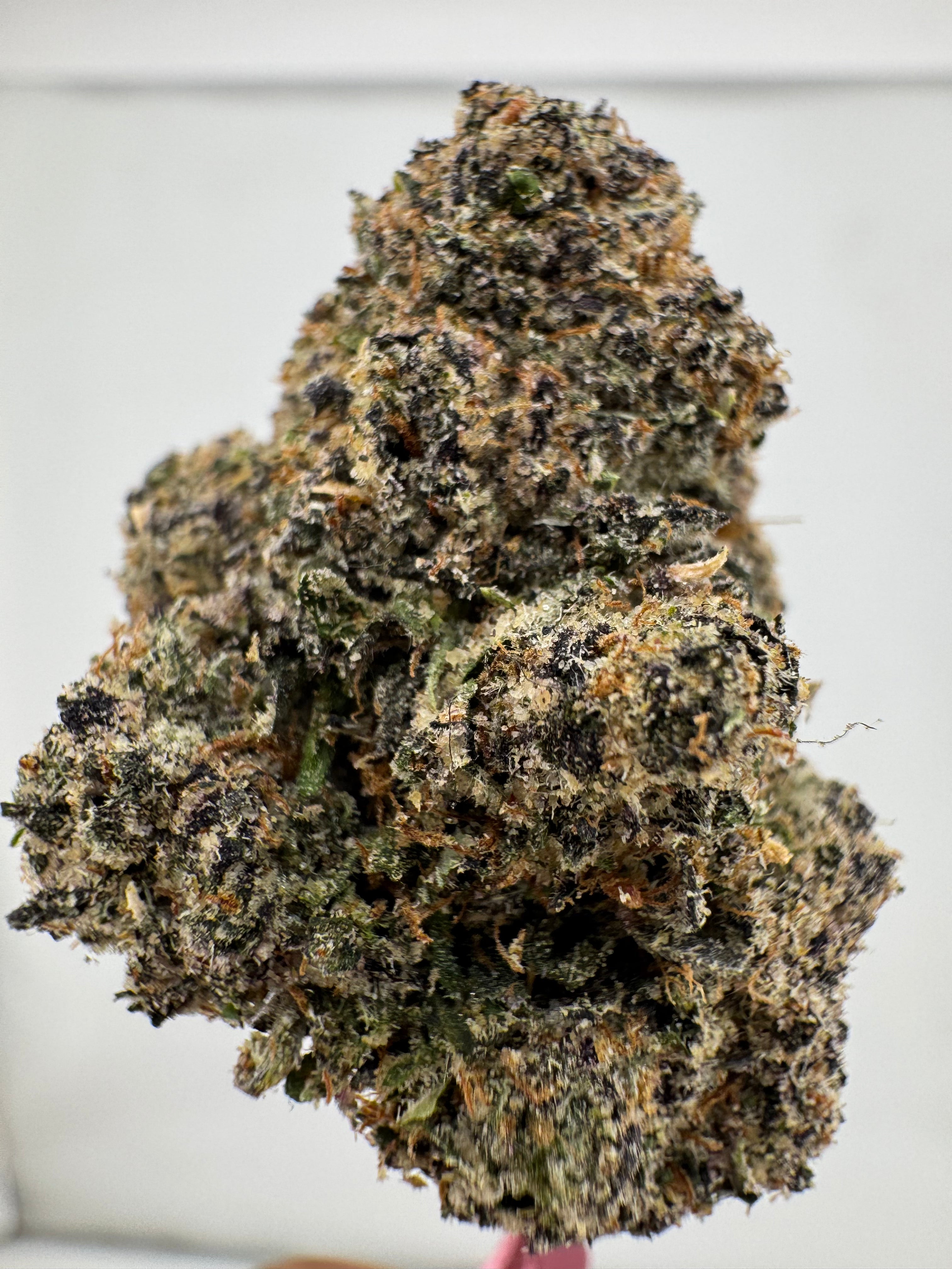 Chucky's Revenge,Pac-Man Exotics,Exotic