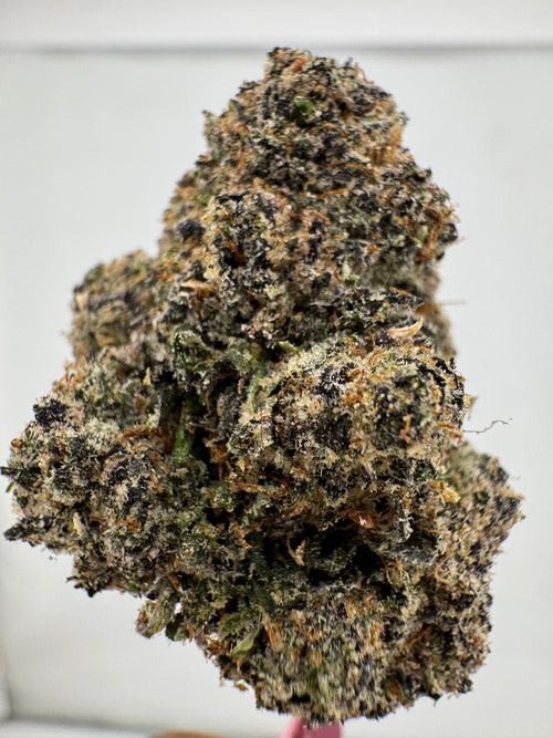 Chucky's Revenge,Pac-Man Exotics,Exotic